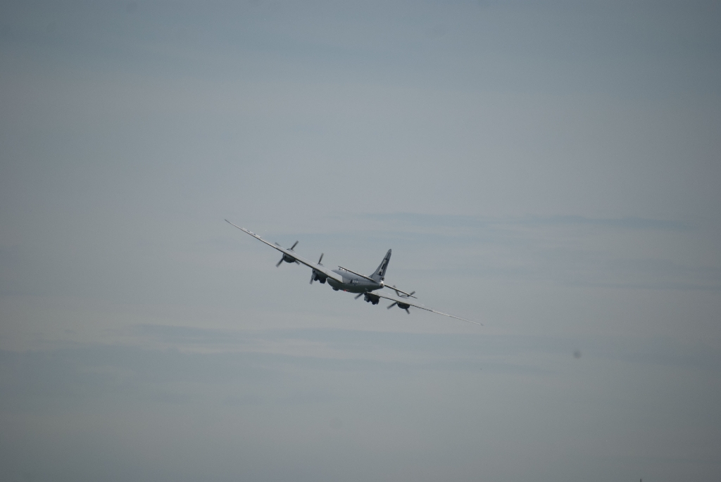 DSC_3516.jpg